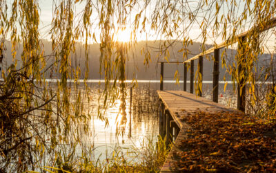 Soul Retreat 2. – 4.10.26